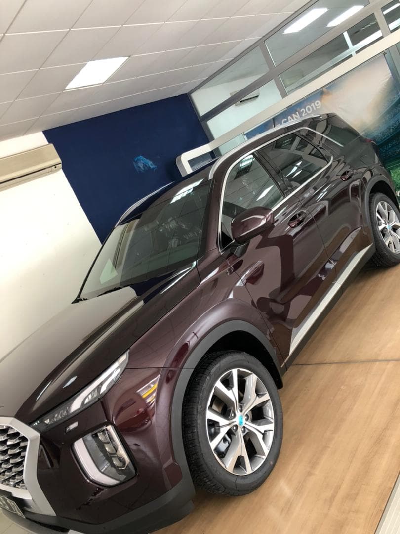 Hyundai Palisade 2022 — Photo 1