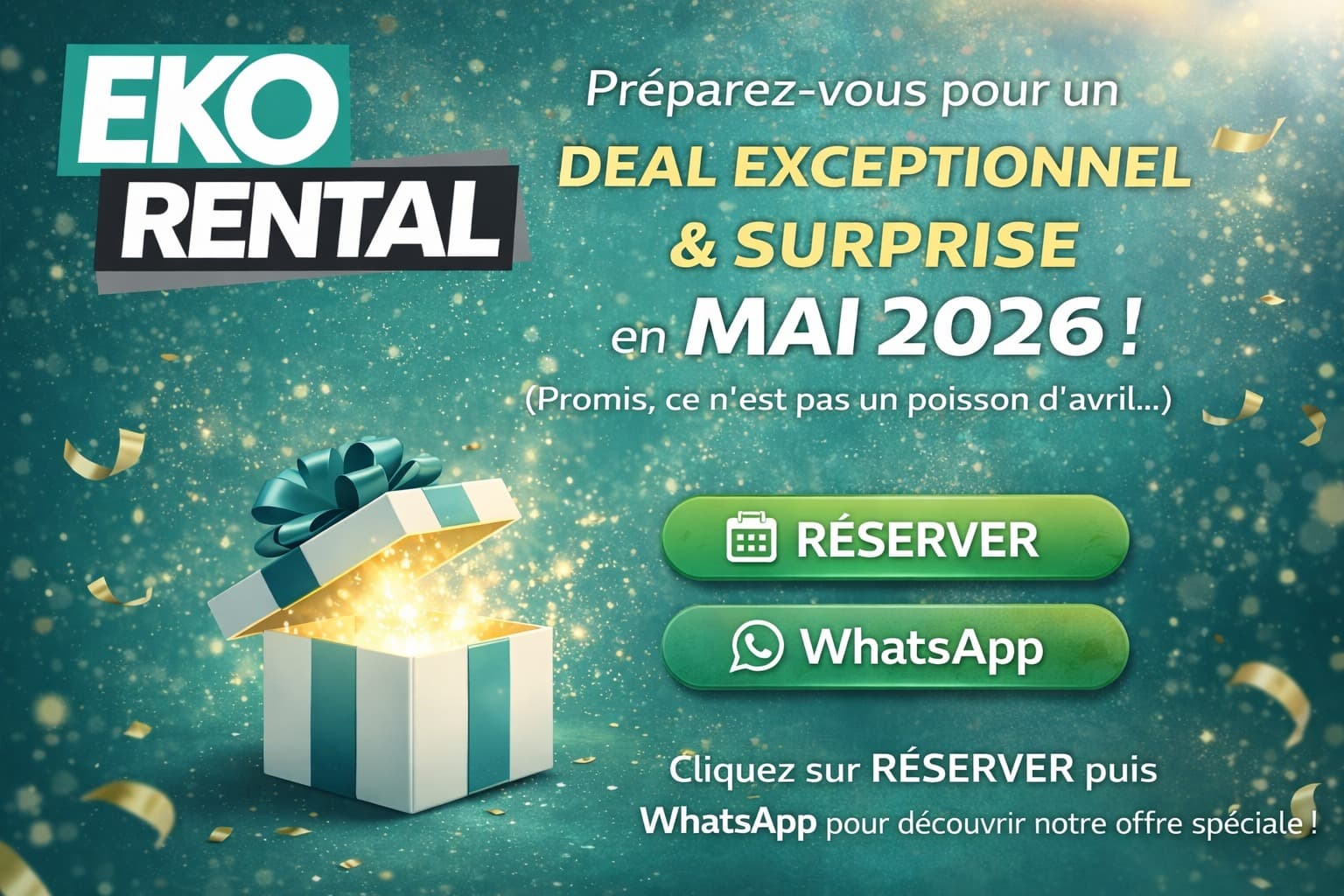 TOYOTA RAV4 - vitrine 1