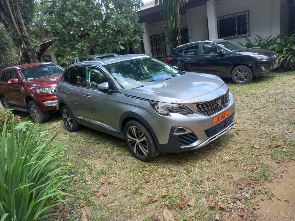 Peugeot 3008 - vitrine 3