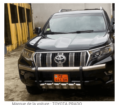 TOYOTA PRADO. ANNÉE 2015 - vitrine 2