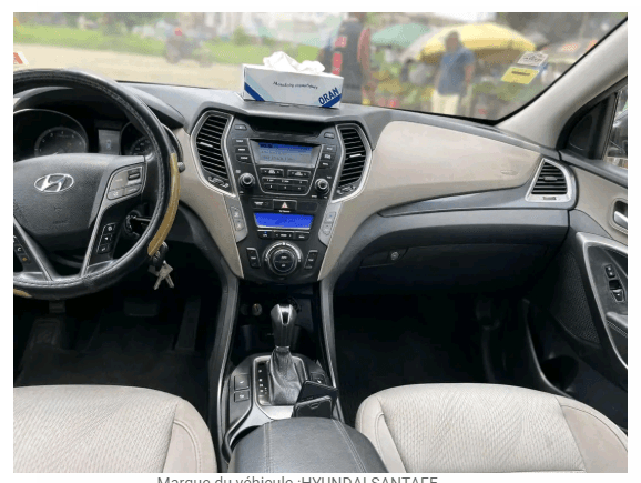 HYUNDAI SANTAFE ANNÉE 2016 - vitrine 4