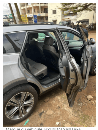 HYUNDAI SANTAFE Année 2018 — Photo 2